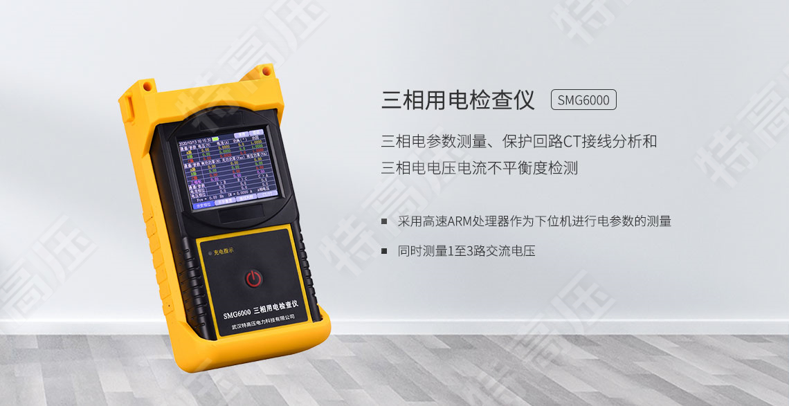 SMG6000 三相用電檢查儀(圖1) SMG6000 三相用電檢查儀(圖1)