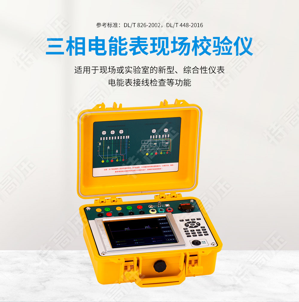 HTDN-3C 三相電能表現(xiàn)場(chǎng)校驗(yàn)儀(圖1) 三相電能表檢定裝置