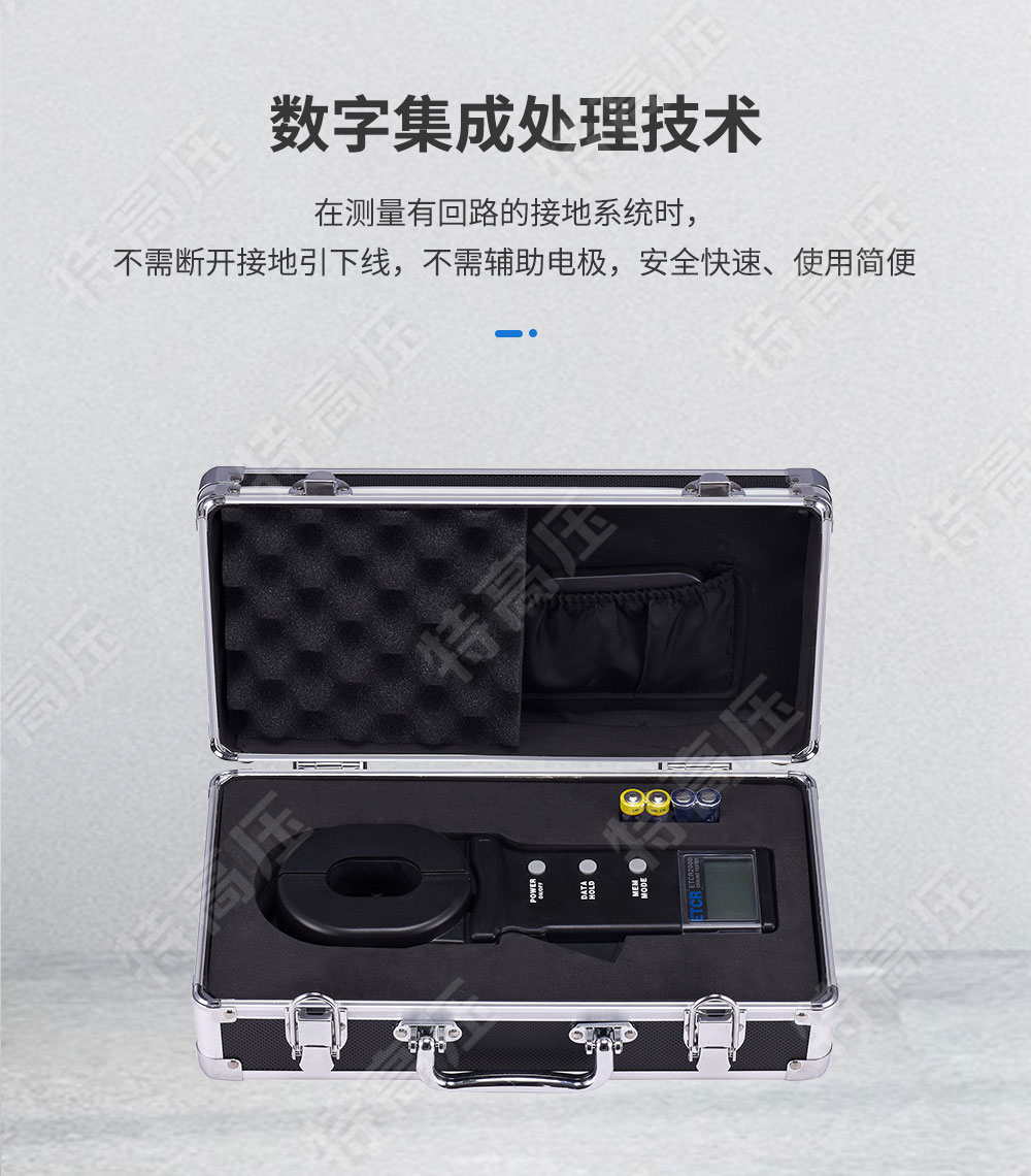 ETCR2000 鉗形接地電阻測試儀(圖2) 鉗形接地電阻測量儀
