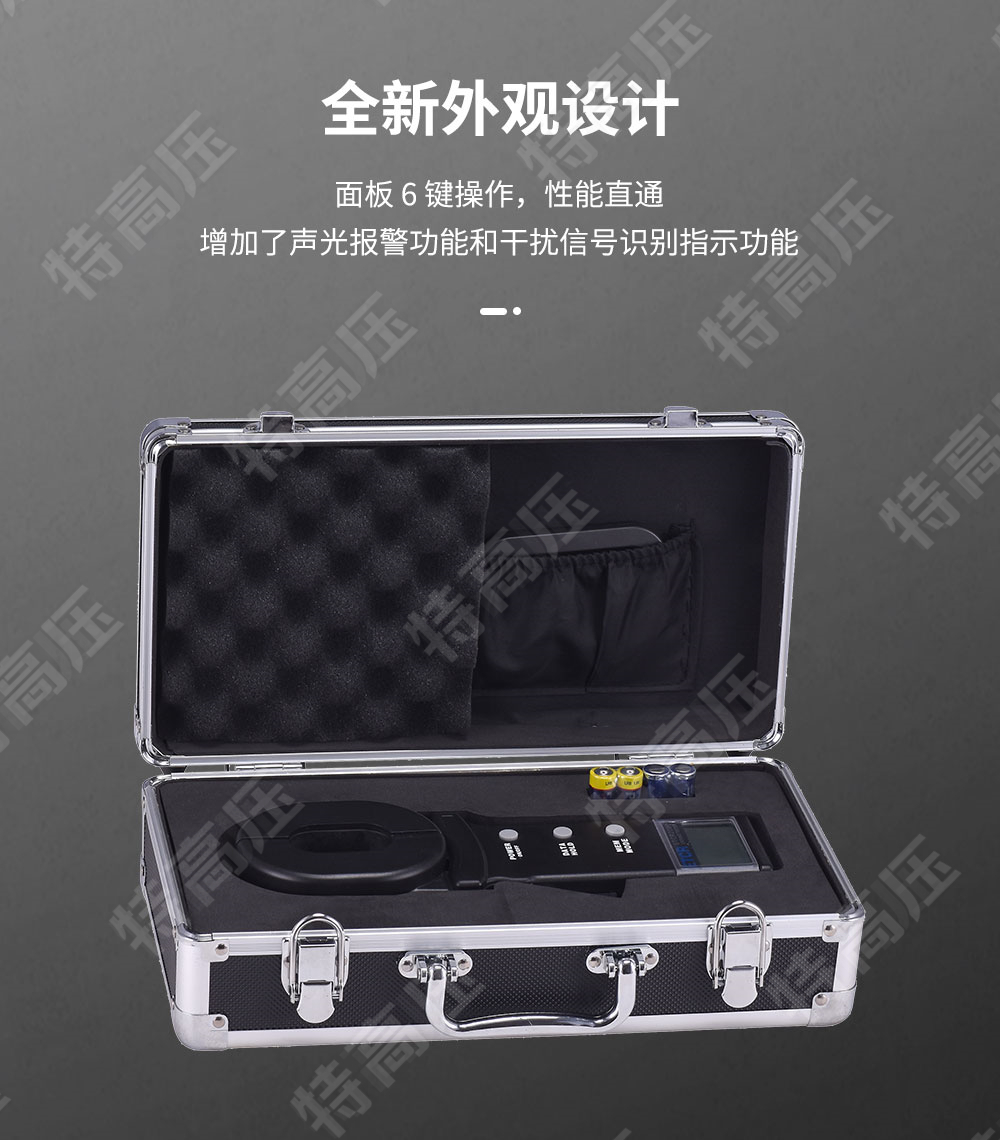 ETCR2000 鉗形接地電阻測試儀(圖3) 鉗形接地電阻測量儀