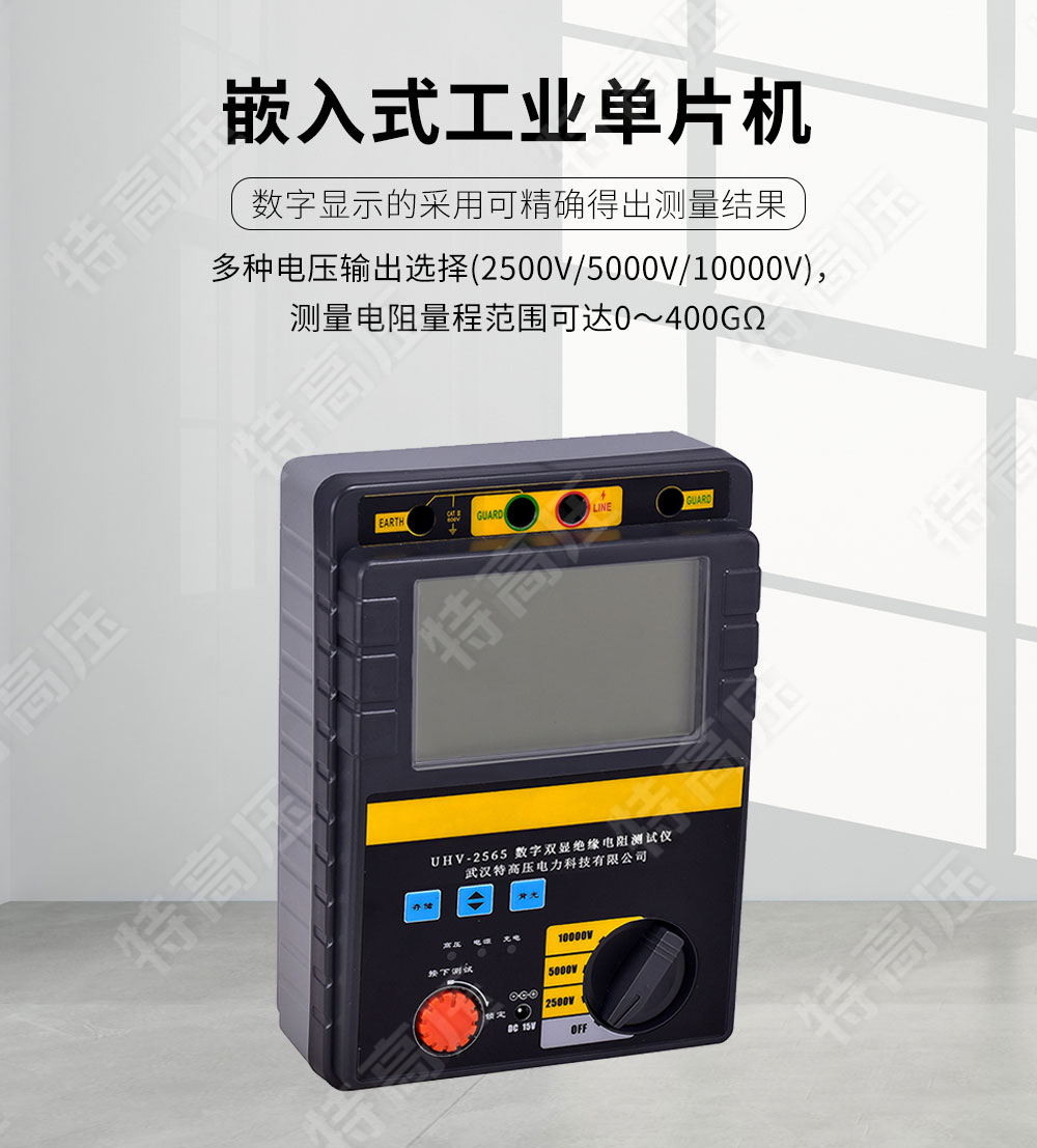 HT2565 數字雙顯絕緣電阻測試儀(圖2) 絕緣電阻檢測儀